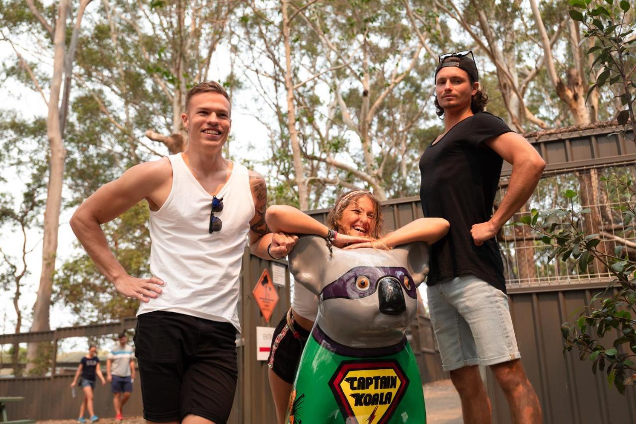 Ozzie Pozzie Backpackers Hostel Port Macquarie Εξωτερικό φωτογραφία